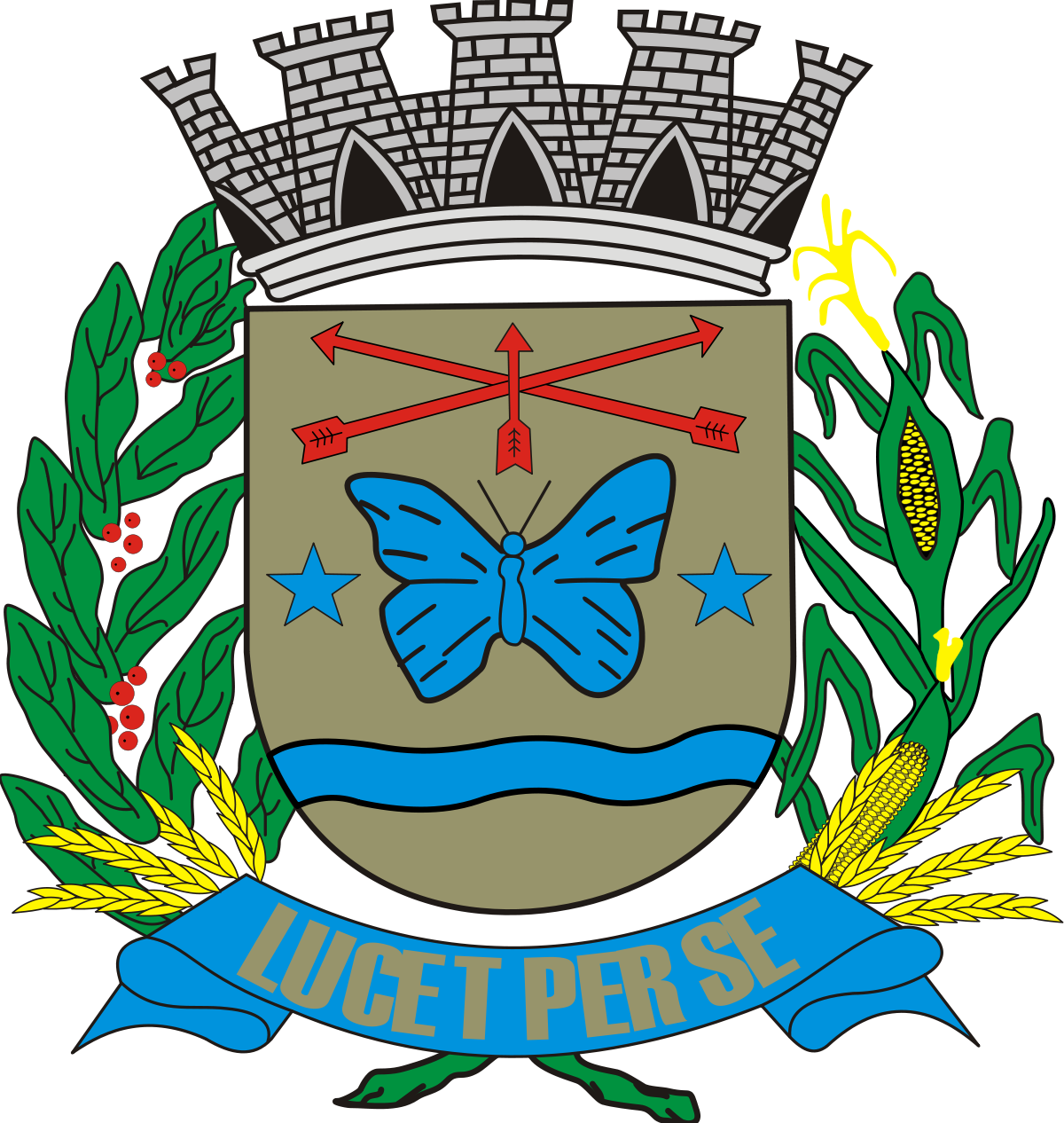 Camara municipal de